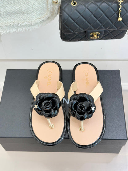 CC 26 Camellia Thong Sandal Sheepskin