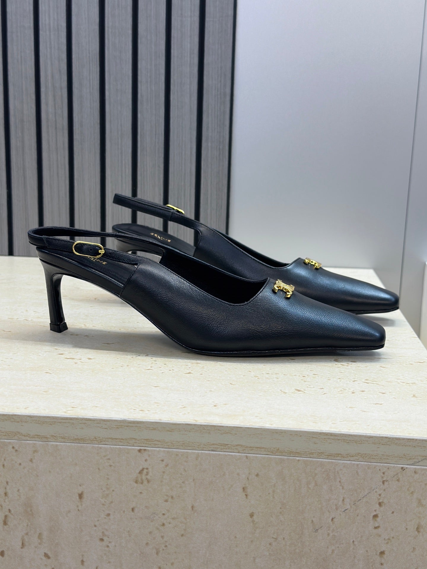 Celine 26 Slingback Pumps Triomphe Logo 65mm Leather 762631